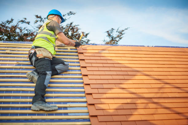 Roof Maintenance